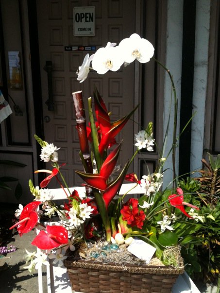 tropical flowers  orchid planter basket.jpg